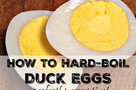 hard boiled duck eggs|How to Hard Boil a Duck Egg (With Four Serving Suggestions).